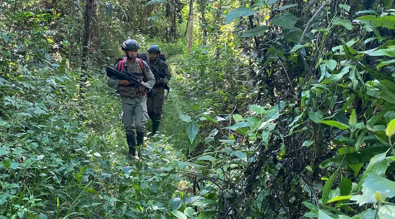 Sejumlah personel Satgas Madago Raya berpatroli di jalur hutan di Poso, Kamis (16/1/2025). (Foto: Humas Ops Madago Raya)