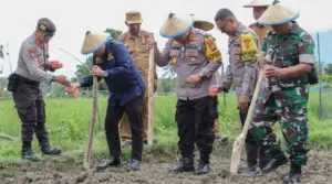 Wali Kota dan Kapolresta Tanam Jagung di Petobo