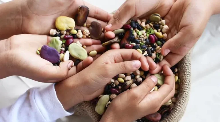 Kacang-kacangan merupakan sumber protein dan mineral yang terjangkau bagi sebagian besar penduduk pedesaan di dunia. (Foto: FAO)