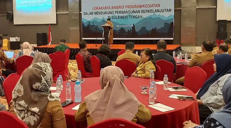 Kepala Bappeda Sulteng menyampaikan sambutan pad apembukaan Workshop Sinergi Program oleh GIZ, di Palu, Selasa (25/2/2025). (Foto: GIZ Sutleng)
