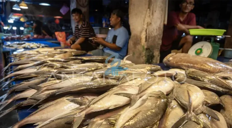 Ilusrasi ikan katombo atau ikan kembung di Pasar Manonda, saah satu penyumbang inflasi. (Foto: bmzIMAGES/Basri Marzuki)