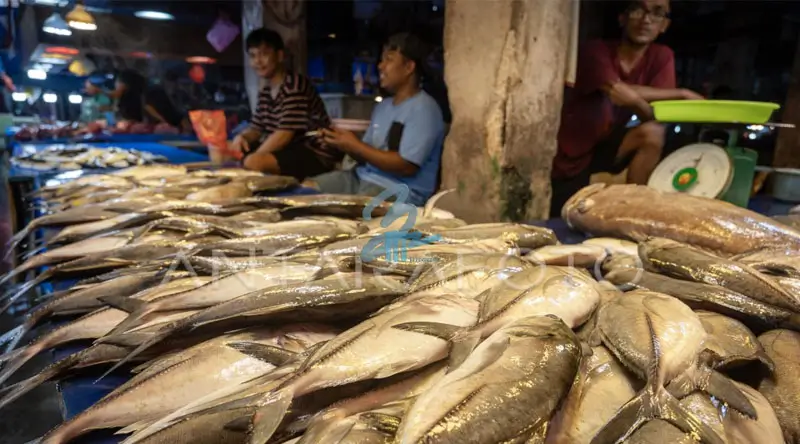 Ilusrasi ikan katombo atau ikan kembung di Pasar Manonda, saah satu penyumbang inflasi. (Foto: bmzIMAGES/Basri Marzuki)