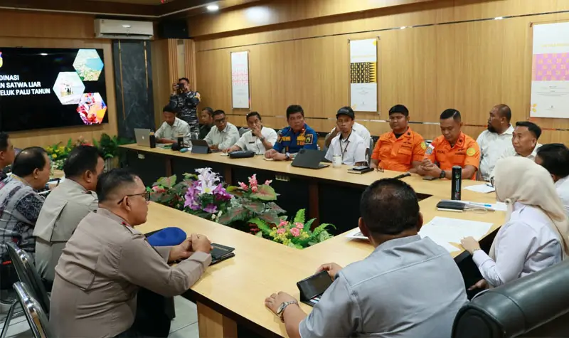 Rakor penanganan buaya perairan Teluk Palu di Kantor Bappeda Kota Palu, Rabu (16/4/2025). (Foto: Basarnas Palu)