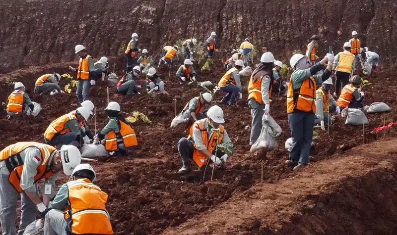 Aksi tanam pohon PT Vale IGP Morowali memperingati hari Bumi 2025, Selasa (22/4/2025). (Foto: Pt Vale Indonesia)