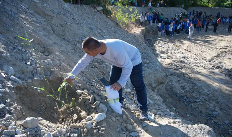 Cegah Abrasi, DLH Palu Tanam 160 Pohon di Bantaran Sungai Kawatuna Warga menanam pohon bambu di bantaran Sungai Kawatuna, Palu, Jumat (23/5/2025). (bmzIMAGES/Basri Marzuki)