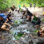 Sejumlah relawan FKPAPT menanam mangrove di pesisir Teluk Tomini, Sabtu (14/6/2025). (Foto: FKPAPT)