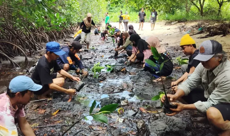 Sejumlah relawan FKPAPT menanam mangrove di pesisir Teluk Tomini, Sabtu (14/6/2025). (Foto: FKPAPT)