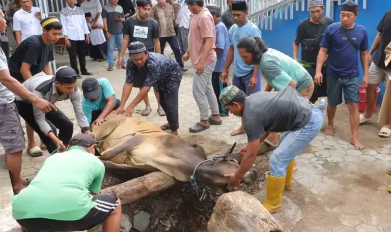 Penyembelihan hewan kurban di Mapolresta Palu, Jumat (6/6/2025). (Foto: Humas Polresta Palu)
