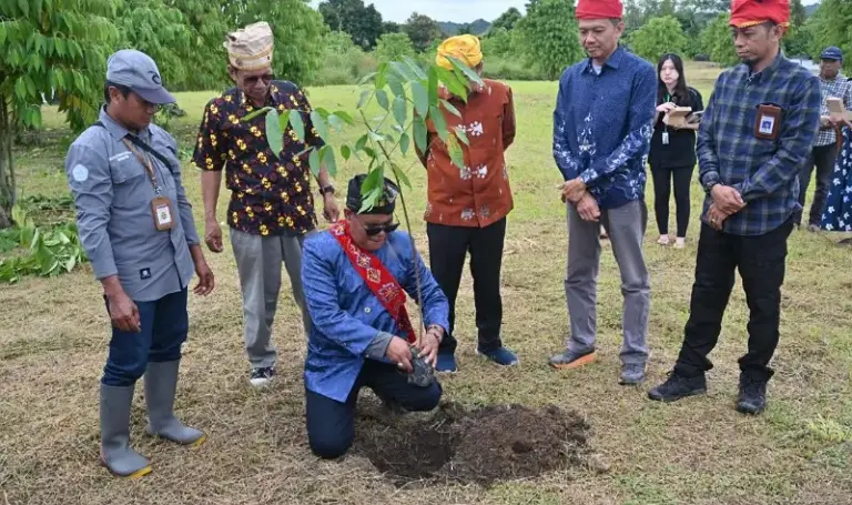 Kadis Pariwisata Poso, Yusak Mentara menanam pohon mahoni di kawasan Megalit Pokokea, Poso, Jumat (27/6/2025). (Foto: bmzIMAGES/Basri Marzuki)