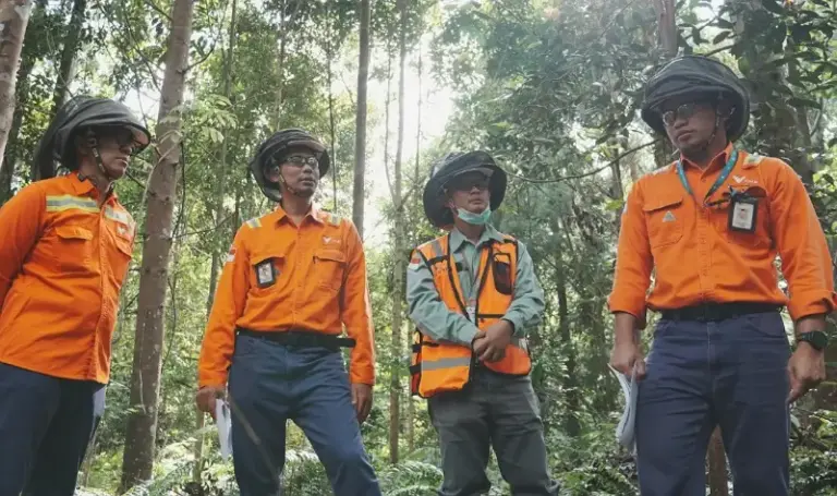 Ilustrasi best practice mining yang dipraktikkan PT Vale Indonesia dengan rehabilitasi lahan menjadi hutan. (Foto: PT Vale Indonesia)