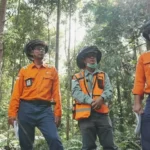Ilustrasi best practice mining yang dipraktikkan PT Vale Indonesia dengan rehabilitasi lahan menjadi hutan. (Foto: PT Vale Indonesia)