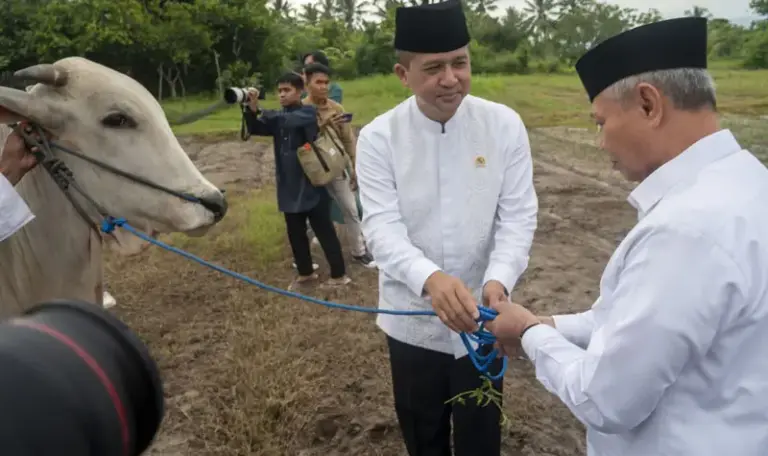 Menteri Transmigrasi RI, Muhammad Iftitah Sulaiman Surnagara menyerahkan sapi kurban bantuan Presiden Prabowo Subianto kepada Bupati SIgi, Moh RIzal Intjenae di kawasan transmigrasi Bulupontu Jaya, Sigi, Jumat (6/6/2025). (bmzIMAGES/Basri Marzuki)