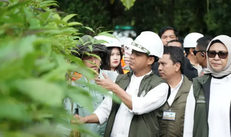 Menhut RI, Raja Juli Antoni memperhatikan salah satu tanaman di Nursery modern PT Vale Indonesia di Sorowako, Jumat (13/6/2025). (Foto: PT Vale Indonesia)