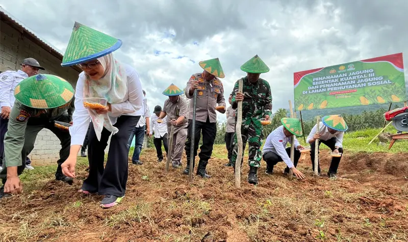 Kapolresta Palu, Kombes Pol Deny Abrahams (tengah) bersama Kadis Pertanian dan Tanaman Pangan Palu Asharini Mastura (kedua kiri), Asisten Bidang Perekonomian dan Pembangunan Sekretariat Daerah Kota Palu, Rahmad Mustafa pada penanaman jagung serentak di Kelurahan Donggala Kodi, Palu,Rabu (9/7/205). (Foto: Prokopim Setda Kota Palu/Jufri)