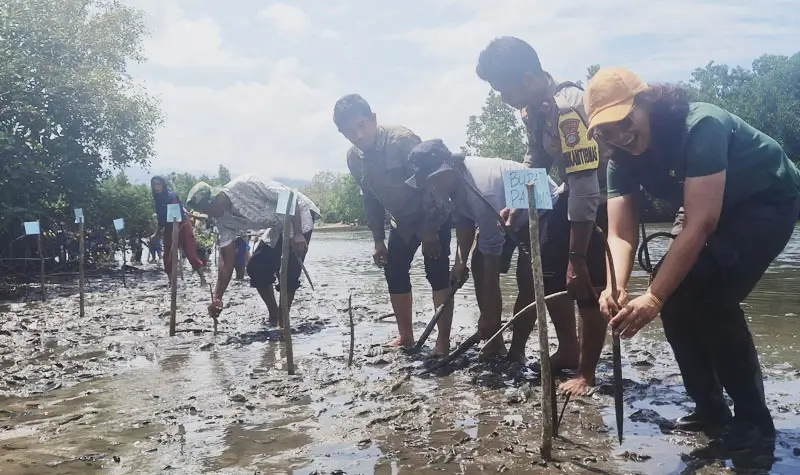 Penanaman bakau yang dinisiasi ROA Sulteng merayakan Hari Mangrove Sedunia di Desa Oncone Raya, Kecamatan Tinombo Selatan, Minggu (27/7/2025). (@ROA Sulteng)
