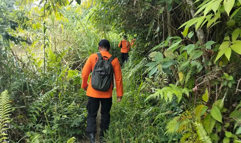 Operasi SAR pencarian nenek yang hilang di di hutan Desa Betue, Poso, Jumat (4/7/2025). (Foto: Basarnas Palu)