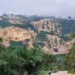 Ilustrasi hutan Morowali yang rusak akibat tambang. (@AEER)