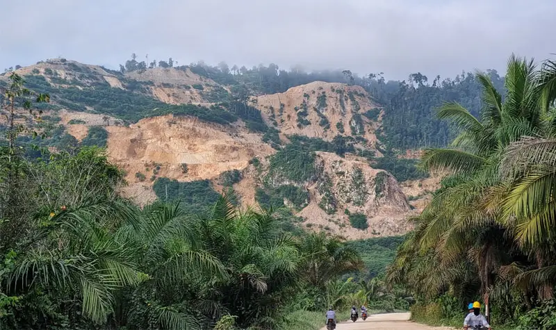 Ilustrasi hutan Morowali yang rusak akibat tambang. (@AEER)