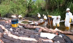 PT Vale Isolasi Sumber Kebocoran Pipa Minyak di Towuti