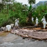 Petugas masih terus berjibaku untuk menghentikan minyak yang keluar dari pipa yang bocor di Desa Towuti, Luwu Timur, Sulsel, Selasa (26/8/2025). (©PT Vale), Selasa
