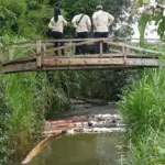 Tim DRRC UI mengamati sungai pada investigasi kebocoran pipa minyak PT Vale di Towuti, Luwu Timur, Sulsel, Selasa (26/8/2025). (©PT Vale Indonesia)