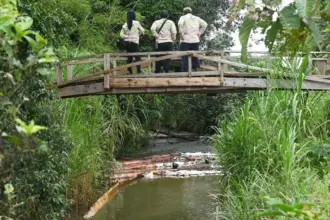 Tim DRRC UI mengamati sungai pada investigasi kebocoran pipa minyak PT Vale di Towuti, Luwu Timur, Sulsel, Selasa (26/8/2025). (©PT Vale Indonesia)