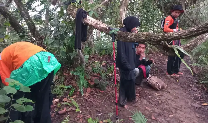 Tim SAR masih melakukan upaya pencarian pendaki yang mengalami hipotermia di pegunungan Gawalise, Palu, Senin (18/9/2025). (©Basarnas Palu)