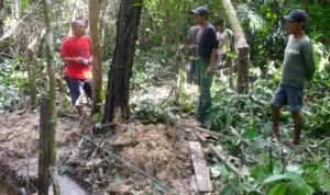 Sosialis Malu-maluOleh: Edmond Leonardo Siahaan