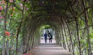 Pemprov Sulteng Berencana Ubah Hutan Kota Jadi Kebun Raya Libatkan 8 OPD