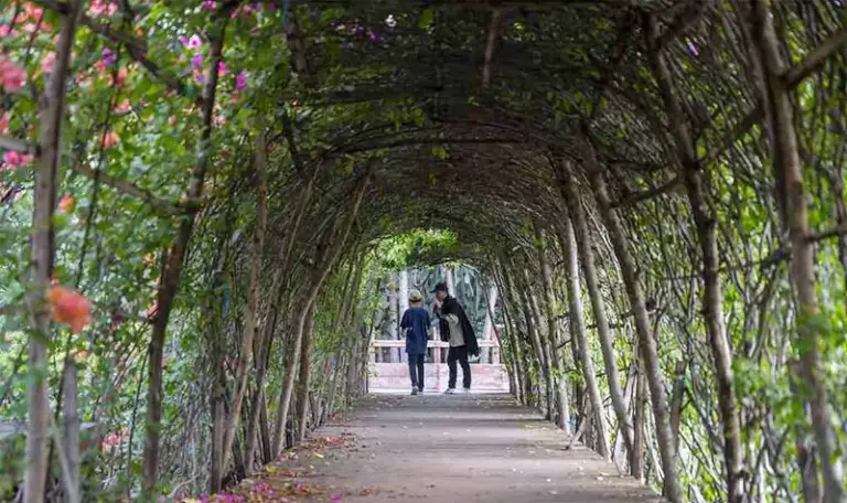 Warga berjalan menyusuri lorong bunga saat berwisata di Taman Hutan Kota, Palu, Sualwesi Tengah, Minggu (4/9/2022). (©bmzIMAGES/basri marzuki)