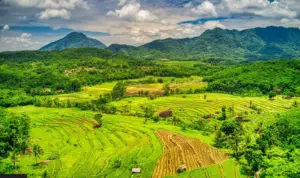 Dorong Transformasi Ekonomi Berkelanjutan dengan Pameran dan SDO 2025