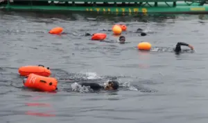 PT Vale Gelar Renang Lintas Danau 8,3 Km di Danau Matano