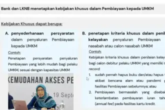 Kepala Departemen Pengaturan dan Pengembangan Perbankan OJK Indah Iramadhini pada media briefeing terkait POJK 19/2025 di Jakarta, Jumat (19/9/2025). (©tangkapan layar OJK)