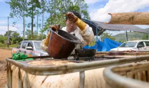 Pemulihan Kebocoran Minyak Towuti Masuki Fase Terstruktur