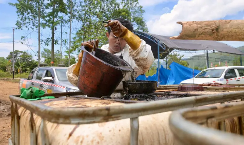 Petugas menuangkan sisa minyak yang dikumpulkan ke penampungan pasca insiden kebocoran pipa di Towuti, Luwu Timur, Sulsel. (©PT Vale Indonesia)