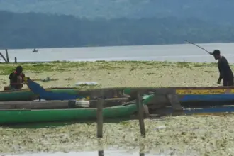 Warga memancing di antara eceng gondok yang menutupi permukaan Danau Lindu, Jumat (6/9/2024) (©bmzIMAGES/basri marzuki)