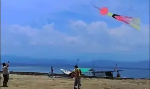 256 Peserta dari 13 Daerah Ramaikan Festival Layangan Donggala