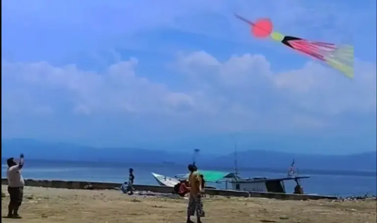 Warga menerbangkan layang-layang pada pembukaan Festival LayanganDOnggala di Banwa, Selasa (23/9/2025). (©Tangkaapn layar)