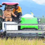 Pangdam XXIII/Palaka Wira Mayjen TNI Jonathan Binsar Perluhutan Sianipar bersama Gubernur Sulteng Anwar Hafid pada Panen Raya Padi di Desa Sibalaya Utara, Sigi, Kamis (4/9/2025). (©Pendam 23/PW)