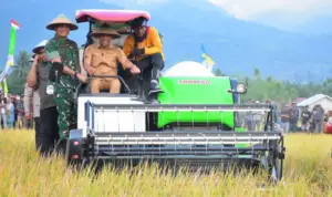 Pangdam XXIII dan Gubernur Sulteng Hadiri Panen Raya Padi di Sigi