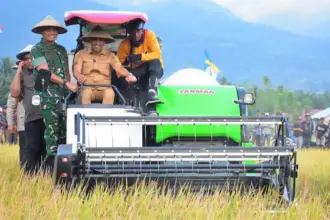 Pangdam XXIII/Palaka Wira Mayjen TNI Jonathan Binsar Perluhutan Sianipar bersama Gubernur Sulteng Anwar Hafid pada Panen Raya Padi di Desa Sibalaya Utara, Sigi, Kamis (4/9/2025). (©Pendam 23/PW)