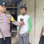 Petugas menunjukkan sebilah parang yang digunakan seorang ayah menebas anak tirinya hingga telingan nyaris putus di Desa Torue, parigi Moutong, Senin (8/9/2025). (©Humas Polres Parimo)