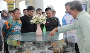 Vale Nickel Corner Hadir di Perpustakaan Daerah Luwu Timur