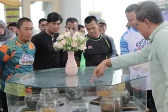 Bupati Luwu TImur Irwan Bachri Syam mendengarkan penjelasan tentang Vale Nickel Corner saat peresmian di Perpustakaan Daerah Luwu Timur, Sabtu (13/9/2025). (©Pt Vale Indoensia)