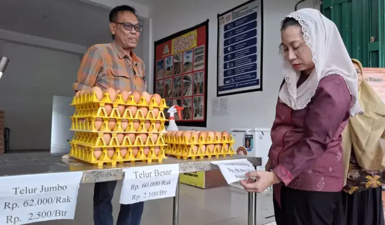 Wawali Imelda saat melakukan sidak harga telur di pasar, Kamis (30/10/2025). (©Prokopim Setda Kota Palu/Jufri)