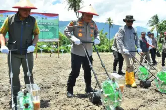Kapolda SUlteng Irje Pol Agus Nugroho (kedua kiri) menanam jagung pada panen serentak di Palu, Rabu (8/10/2025). (© Humas Polda Sulteng)