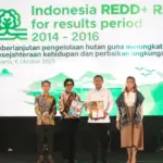 (dari kiri ke kanan) Direktur Utama Dr. Joko Tri Haryanto, Sekretaris Utama Kementerian Lingkungan Hidup Rosa Vivien, Wakil Menteri Kehutanan Rohmat Marzuki, Kepala Perwakilan UNDP Indonesia Sara Ferrer Olivella. (© Bambang/UNDP)