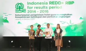 Indonesia Raih Dana USD 499,8 Juta dari Program REDD+