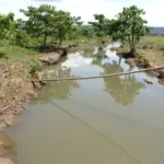 Salah satu titik sungai yang sebelumnya terdampak kebocoran pipa minyak PT Vale, kini sudah jernih kembali. (©PT Vale Indonesia)