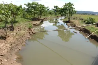 Salah satu titik sungai yang sebelumnya terdampak kebocoran pipa minyak PT Vale, kini sudah jernih kembali. (©PT Vale Indonesia)